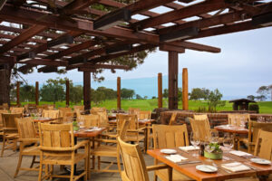 Grill Patio Day