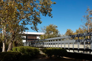 Dempsey Creekside 9060