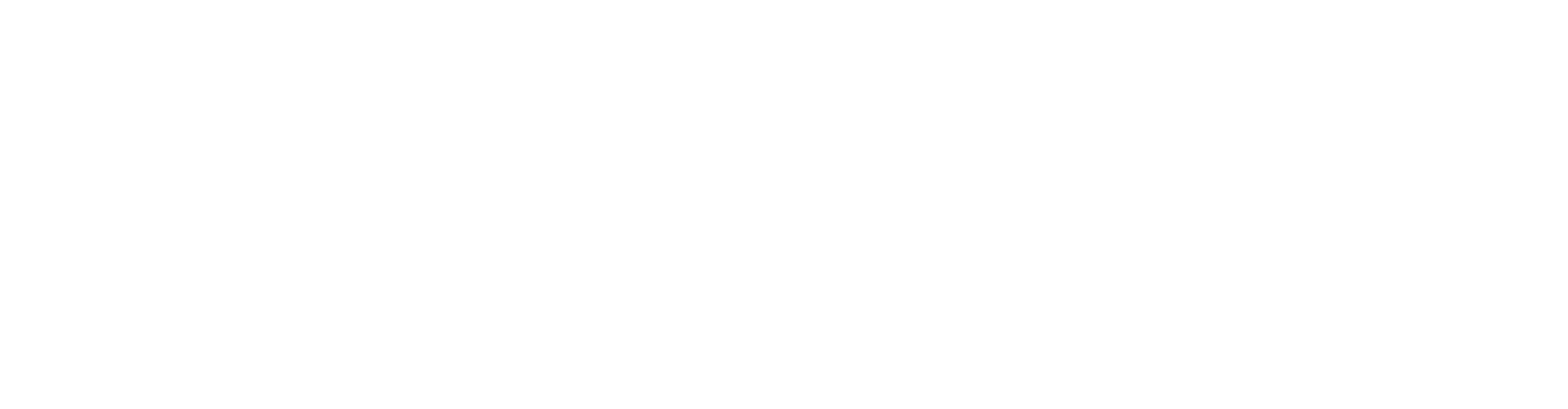 Dempsey Construction White - Logo